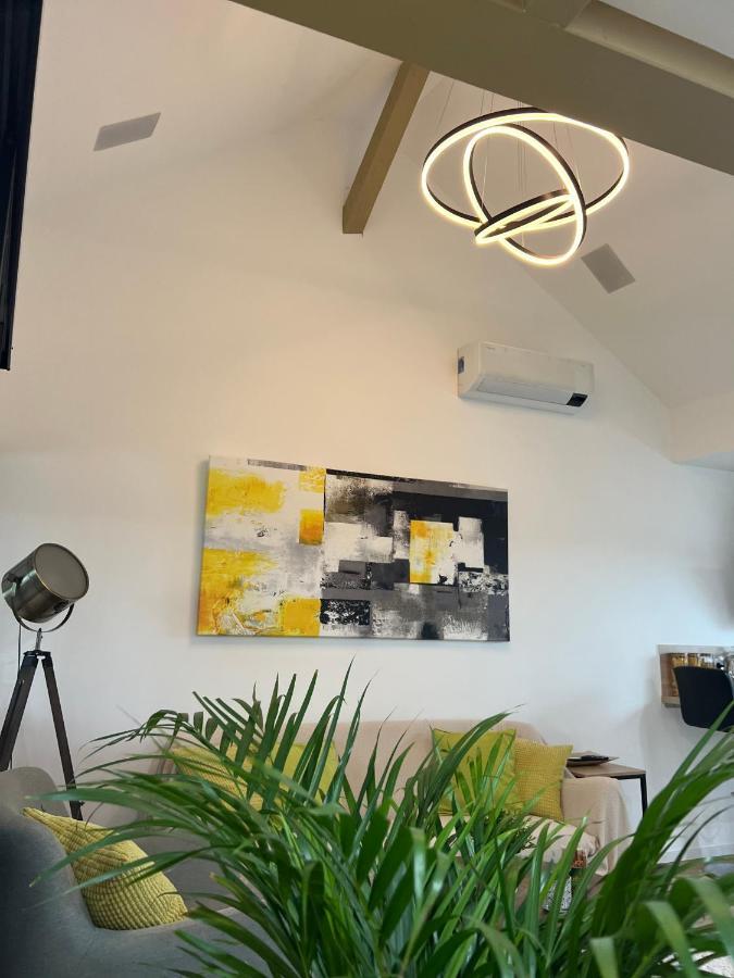 Loft Ravissant Avec Parking Gratuit Apartman Colmar Kültér fotó